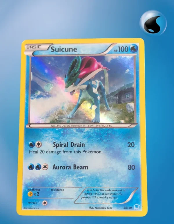 Suicune 30/30 Pikachu Libre and Suicune